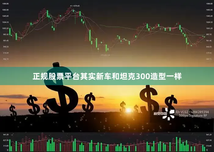 正规股票平台其实新车和坦克300造型一样