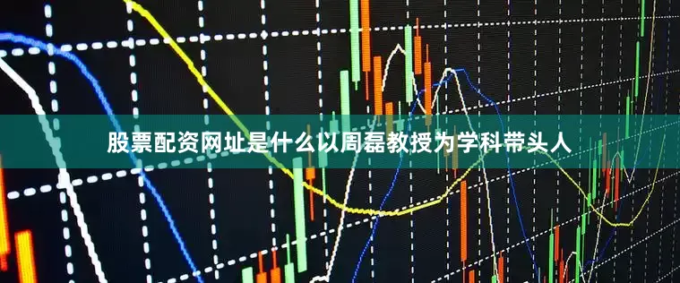 股票配资网址是什么以周磊教授为学科带头人