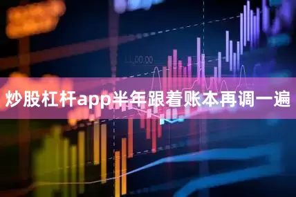 炒股杠杆app半年跟着账本再调一遍