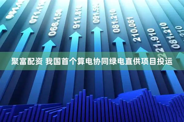 聚富配资 我国首个算电协同绿电直供项目投运